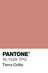 pantone-color-chip-16-1526-tpg