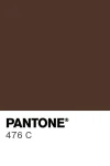 pantone-color-chip-476-c