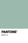 pantone-color-chip-623-c